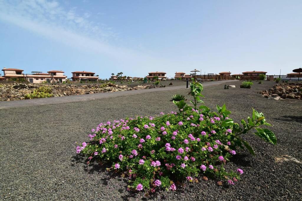 Casa Platanera!! Villa Lajares Buitenkant foto